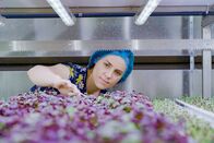 P.M. Wissen – Marili Wentzel, Mechatronik-Ingenieurin von „Growy“, Amsterdam. Sieht so die Zukunft der Landwirtschaft aus?