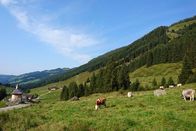 Hoagascht – Landschaftsbild Schönangeralm