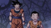 Dragon Ball Super – Di, 21.07., 17:05 Uhr
