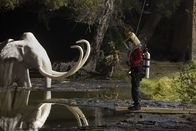 Scorpion – Um einer Frau das Leben zu retten, muss Walter (Elyes Gabel) durch die mit natürlichem Asphalt gefüllten Gruben "La Brea Tar Pits" mitten in Los Angeles schwimmen ...