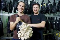 Servus Österreich – Florian Hofer und Manuel Bornbaum von "Hut und Stiel - Die Wiener Pilzkultur"