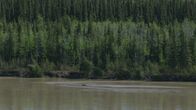 Murder Nation – Landschaft, Alaska