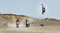 It Came From the Desert – Sa, 02.03., 10:10 Uhr
