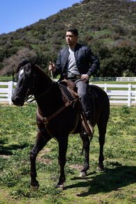 Navy CIS – Nick Torres (Wilmer Valderrama)