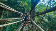 Wunderstoffe – Morning Star Khonthaw beim Bau einer Brücke aus Baumwurzeln im indischen Bundesstaat Meghalaya.