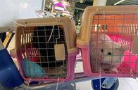 Re: – Cookie und Colorado haben es geschafft: Sie sind in ihrer neuen Heimat angekommen.