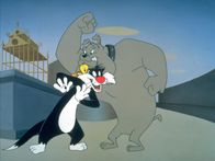 Sylvester und Tweety – Sylvester und Tweety (1995)