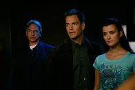 Navy CIS – Sind total überrascht, als sie erfahren, dass Gibbs 3. Ex-Frau eine der Verdächtigen ist: Gibbs (Mark Harmon, l.), Tony (Michael Weatherly, M.) und Ziva (Cote de Pablo, r.) ...