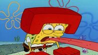 SpongeBob Schwammkopf – SpongeBob