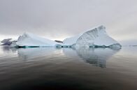 Wilde Welten – Die grönländischen Eisberge gelten als letzte Zufluchtsorte der Eisbären. Ihr Verschwinden ist ein Zeichen des voranschreitenden Klimawandels.