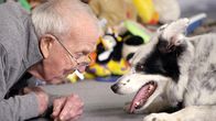 Die geheime Welt der Hunde – John Pilley (l.) mit seinem Border Collie Chaser
