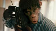 Better Man - Die Robbie Williams Story – Jonno Davies as ìRobbie Williams" in Better Man from Paramount Pictures.