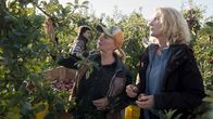 Tatort – Vorne, v.li.: Marlies Feldhusen (Lina Wendel) weist Charlotte (Maria Furtwängler) in die Apfelernte ein.
