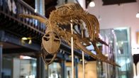 Mythen und Monster – Manche glauben, das Monster von Loch Ness sei ein Plesiosaurus - eine Reptilienart, die mit den Dinosauriern vor mehr als 60 Millionen Jahren ausgestorben ist.