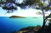 Köstliches Apulien – Die Küste der Halbinsel Gargano: Hier lebt Giuseppe Bramante und züchtet Garganica-Ziegen und Podolica-Kühe.