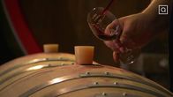 Affentaler Wein – Do, 25.09., 23:00 Uhr