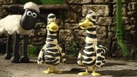 Shaun das Schaf – So komische Vögel hat Shaun noch nie gesehen. Oder haben die ihren Schlafanzug noch an?