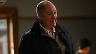 The Blacklist – Raymond 'Red' Reddington (James Spader)