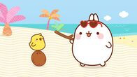 Molang – Eine Kokosnuss fällt Molang und Piu Piu vor die Füsse, die müssen sie jetzt nur noch aufmachen.