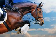 Springreiten: Global Champions Tour – Springreiten