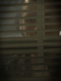 Your Worst Nightmare – Mi, 23.10., 04:50 Uhr