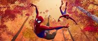 Spider-Man: A New Universe – Sa, 07.02., 01:20 Uhr