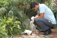 CSI: Miami – CSI: Miami (2005)