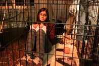 Modern Family – Ariel Winter (Alex Dunphy).