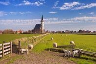 MareTV: Ganz Holland auf einer Insel - Texel – Fr, 24.07., 18:30 Uhr