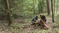 Checker Tobi – Tobi und Försterin Marion zählen die Jahresringe an einem Baumstumpf: So kann man erkennen, wie alt der Baum war.