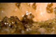 Die Bienenflüsterer – Nach der Ernte geht es ans Verarbeiten: Sabit zerstampft die Waben, in denen sich Honig, Pollen und Wachs befinden, und verarbeitet sie zu einem Brei, der den Waldhonig mit besonderem Geschmack ergibt – reine Natur, ohne künstliche Aromen oder Zusätze.