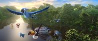 Rio 2 - Dschungelfieber – Sie brechen auf in die große weite Welt und kommen hoffentlich am Amazonas an: Nico (l.), Pedro (2.v.l.), Carla (r.), Jewel (2.v.r.) und Blu (oben) ...