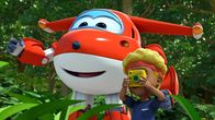 Super Wings – Jett und Sam suchen nach Paradiesvögeln um diese zu fotografieren.