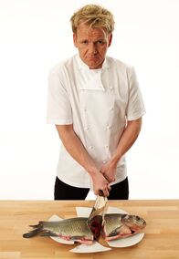 In Teufels Küche mit Gordon Ramsay – Setzt all sein Wissen und seine Erfahrung ein, um schlecht laufende Restaurants aus der Krise zu retten: Sternekoch Gordon Ramsay
