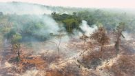 WELTjournal + – Zwischen Jänner und Juni 2022 wurden fast 4.000 Quadratkilometer Amazonas-Regenwald zerstört - das entspricht der Fläche des Burgenlands. Allein im Juni wurden über 2500 Brände registriert.