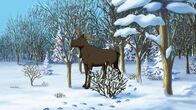 Bibi und Tina – Tatsächlich ist ein Elch in ihrem Wald. Das gab es noch nie.