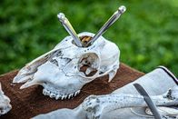 Mythos Kelten – Das Geheimnis der Rituale: Vor allem der keltische Schädelkult gibt reichlich Stoff für Schauergeschichten.