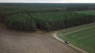 Ermittler! – Dieses Wäldchen in der Nähe von Beeskow in Brandenburg wurde im Juni 1990 Schauplatz eines grausamen Mordes.