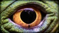 Tierisch gemein! – Sa, 08.06., 16:30 Uhr