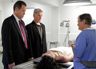 Navy CIS – Sorgen dafür, dass kein Fall ungeklärt bleibt: Gibbs (Mark Harmon, 2.v.l.), Ducky (David McCallum, r.) und Metro Detective Danny Sportelli (Jack Conley, l.) ...