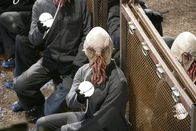 Doctor Who – Die ansonsten friedliche Sklavenrasse "Ood" steht plötzlich unter dem Einfluss einer ganz gefährlichen Macht ...