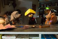 Rudis Rasselbande – Schubidu! Buffo (Ulli Voland), Rudi (Lennart Morgenstern) und Ella (Anna Menzel) haben eine Band gegründet. Doch wie soll sie heißen?