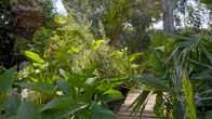 Auf Entdeckungsreise mit Karl Ploberger – Garten Kyrenia House.