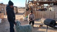 Cowboys und Indianer – Das Leben im Navajo-Reservat ist hart. Auch ohne Dürre. Trotzdem liebt Irene Bennalley die Ruhe, wenn sie mit ihren Tieren im Sommer in die Berge zieht.