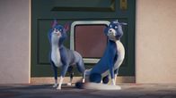 Die Coop Troop – Fr, 17.10., 17:35 Uhr