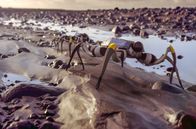 Leben im All – Spiderbot auf der Suche nach Spuren von Leben auf Minerva B