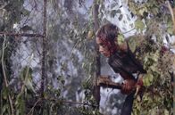 High Tension – High Tension (2003)