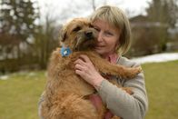 Heimat der Rekorde – Hundebesitzerin Heidi Deml mit ihrem Border-Terrier und Rekordhund Wiggerl.