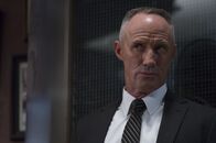 Law & Order: Special Victims Unit – Law & Order: Special Victims Unit (2013)