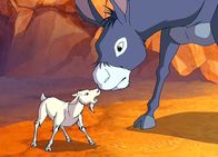 Yakari – "Yakari", "Yakari und die Pferdediebe." Yakari, Kleiner Dachs und Regenbogen begegnen bei einem Ausritt zwei Irokesen. Die beiden behaupten, dass Regenbogens Pony Großer Grauer ihnen gehöre. Dabei hat Kleiner Donner vor einiger Zeit das verletzte, entlaufene Pony gefunden. Als die Freunde im Freien übernachten müssen, ist Großer Grauer am Morgen spurlos verschwunden. Der Verdacht liegt nahe, dass ihn die Irokesen gestohlen haben.